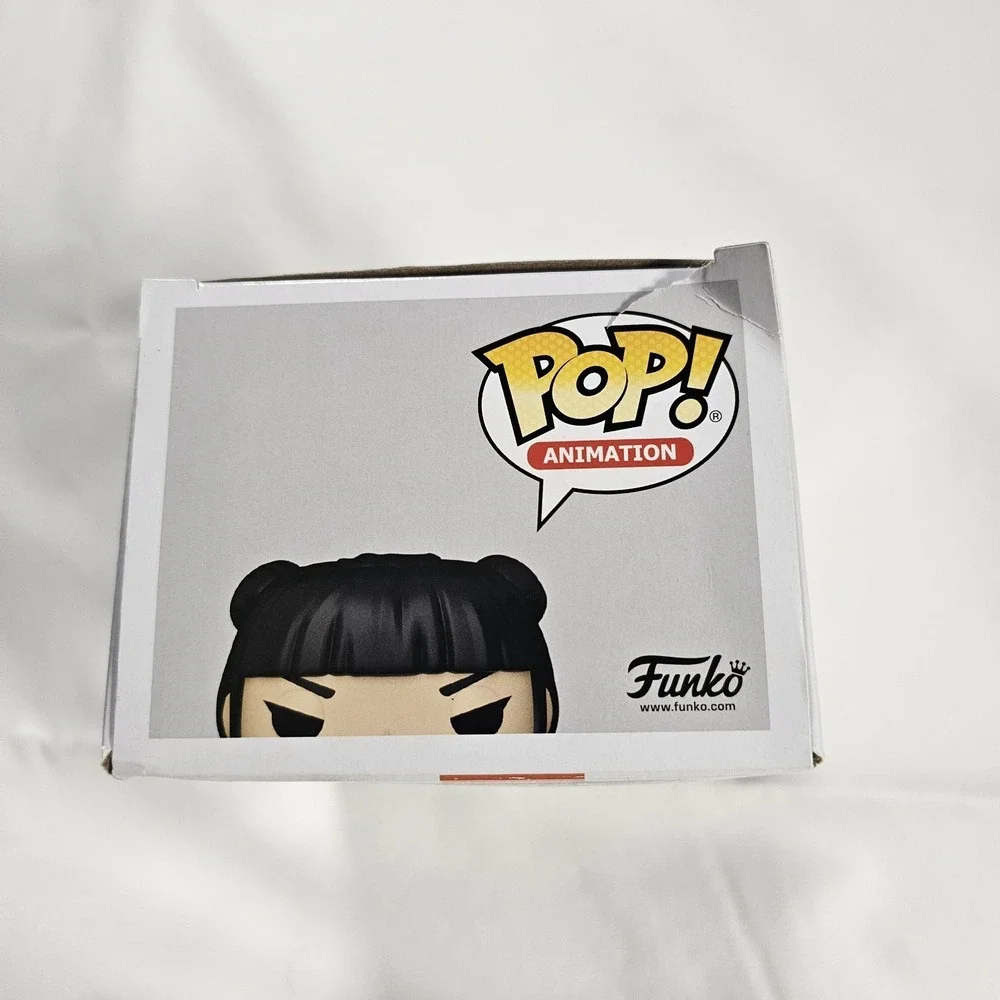 Funko Pop Mai 1003 Avatar Last Airbender 2nd‎ & Charles Exclusive Box Damage